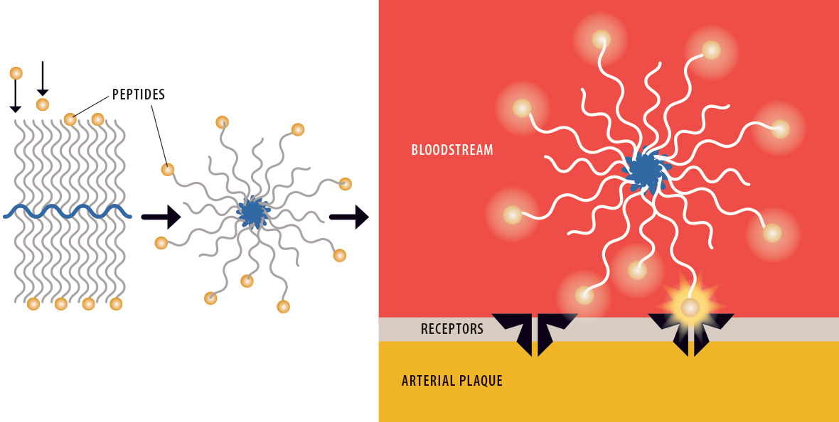 nanoparticles