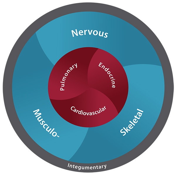 humanmovementsystem