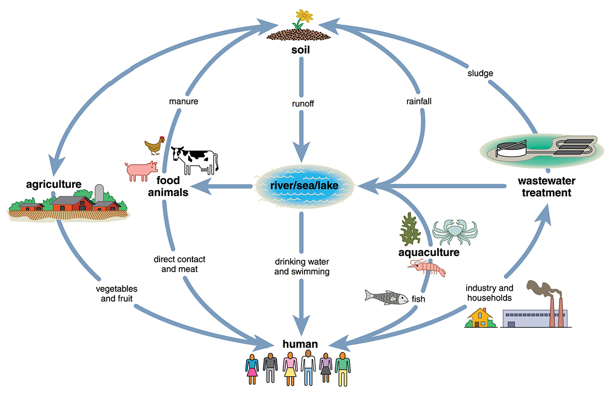 interconnected_habitat