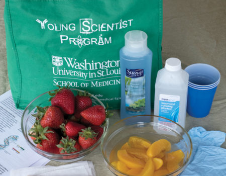 The YSP creates “experiments-in-a-bag” available online to K-12 schools.